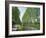 Tree Lined River Bank in Spring, Marais Poitevin, Deux Sevres Near Coulon, Poitou Charentes, France-Michael Busselle-Framed Photographic Print