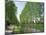 Tree Lined River Bank in Spring, Marais Poitevin, Deux Sevres Near Coulon, Poitou Charentes, France-Michael Busselle-Mounted Photographic Print