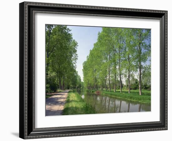 Tree Lined River Bank in Spring, Marais Poitevin, Deux Sevres Near Coulon, Poitou Charentes, France-Michael Busselle-Framed Photographic Print