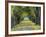 Tree-Lined Road in Autumn, Louisville, Kentucky, USA-Adam Jones-Framed Photographic Print