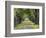 Tree-Lined Road in Autumn, Louisville, Kentucky, USA-Adam Jones-Framed Photographic Print