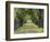 Tree-Lined Road in Autumn, Louisville, Kentucky, USA-Adam Jones-Framed Photographic Print