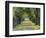 Tree-Lined Road in Autumn, Louisville, Kentucky, USA-Adam Jones-Framed Photographic Print