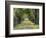 Tree-Lined Road in Autumn, Louisville, Kentucky, USA-Adam Jones-Framed Photographic Print