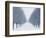 Tree-lined Road in Winter-Robert Llewellyn-Framed Photographic Print