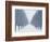 Tree-lined Road in Winter-Robert Llewellyn-Framed Photographic Print