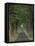 Tree-Lined Road, Louisville, Kentucky, USA-Adam Jones-Framed Premier Image Canvas