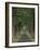 Tree-Lined Road, Louisville, Kentucky, USA-Adam Jones-Framed Photographic Print