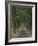 Tree-Lined Road, Louisville, Kentucky, USA-Adam Jones-Framed Photographic Print