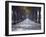 Tree-Lined Road, Maremma, Tuscany, Italy, Europe-Marco Cristofori-Framed Photographic Print