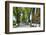 Tree lined road, Marvao, Portugal-Mauricio Abreu-Framed Photographic Print