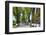 Tree lined road, Marvao, Portugal-Mauricio Abreu-Framed Photographic Print