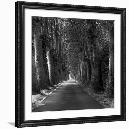 Tree-lined Road-Wink Gaines-Framed Giclee Print