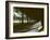 Tree Lined Roadway Somewhere in Provence-Gjon Mili-Framed Photographic Print