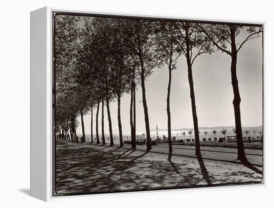 Tree Lined Street Along the Shore of Beautiful Shores of Lake Balaton-Margaret Bourke-White-Framed Premier Image Canvas