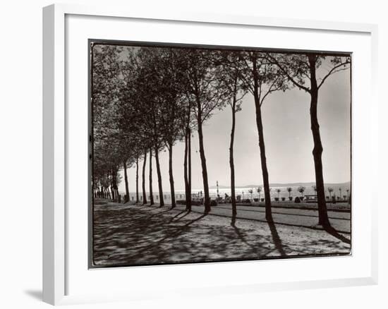 Tree Lined Street Along the Shore of Beautiful Shores of Lake Balaton-Margaret Bourke-White-Framed Photographic Print