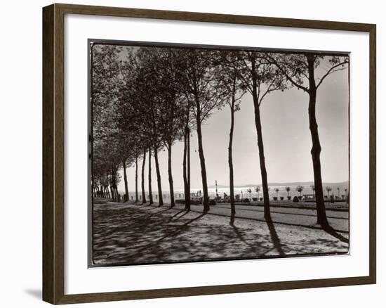 Tree Lined Street Along the Shore of Beautiful Shores of Lake Balaton-Margaret Bourke-White-Framed Photographic Print