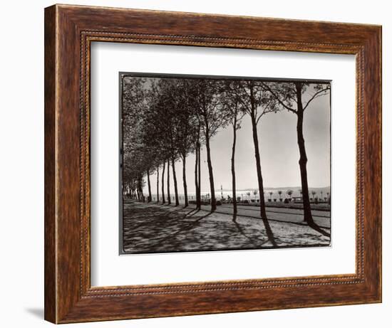 Tree Lined Street Along the Shore of Beautiful Shores of Lake Balaton-Margaret Bourke-White-Framed Photographic Print