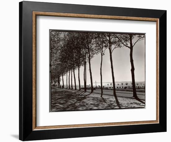 Tree Lined Street Along the Shore of Beautiful Shores of Lake Balaton-Margaret Bourke-White-Framed Photographic Print