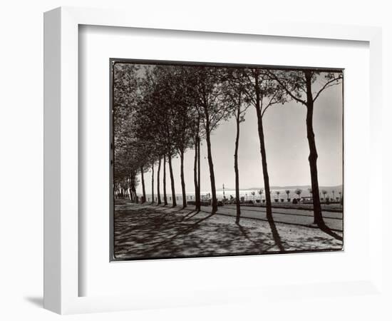 Tree Lined Street Along the Shore of Beautiful Shores of Lake Balaton-Margaret Bourke-White-Framed Photographic Print