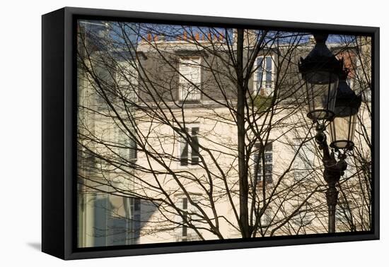 Tree-Lined Street and Streetlamp in Winter in Paris, France-Robert Such-Framed Premier Image Canvas