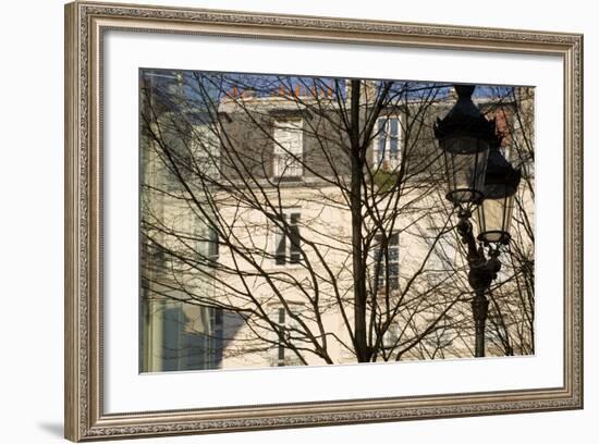 Tree-Lined Street and Streetlamp in Winter in Paris, France-Robert Such-Framed Photographic Print