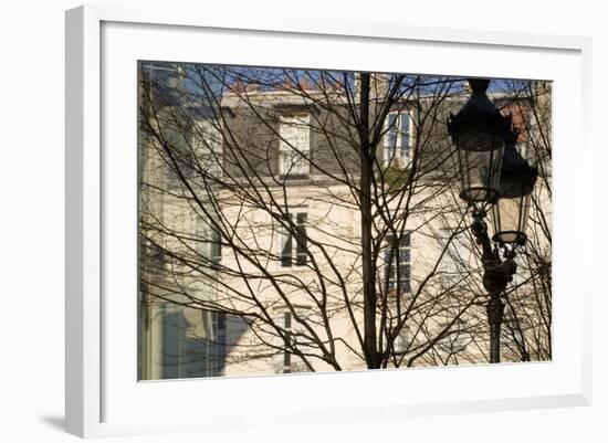 Tree-Lined Street and Streetlamp in Winter in Paris, France-Robert Such-Framed Photographic Print