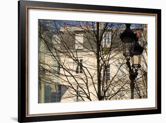 Tree-Lined Street and Streetlamp in Winter in Paris, France-Robert Such-Framed Photographic Print