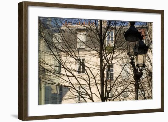 Tree-Lined Street and Streetlamp in Winter in Paris, France-Robert Such-Framed Photographic Print