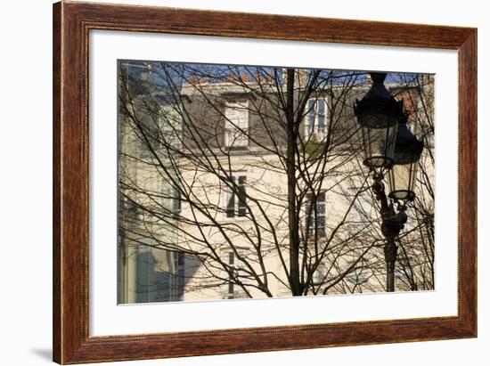 Tree-Lined Street and Streetlamp in Winter in Paris, France-Robert Such-Framed Photographic Print