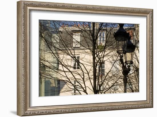 Tree-Lined Street and Streetlamp in Winter in Paris, France-Robert Such-Framed Photographic Print