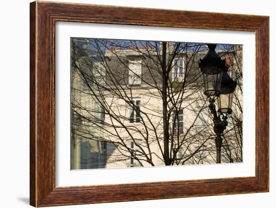 Tree-Lined Street and Streetlamp in Winter in Paris, France-Robert Such-Framed Photographic Print
