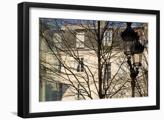 Tree-Lined Street and Streetlamp in Winter in Paris, France-Robert Such-Framed Photographic Print