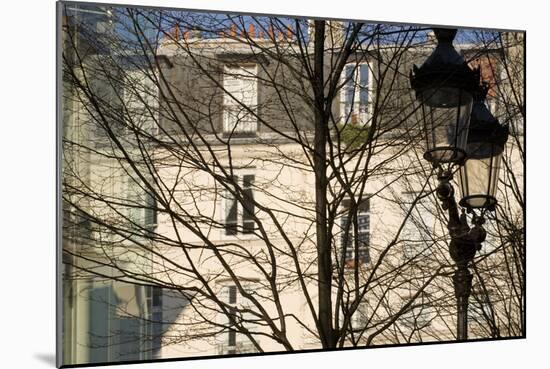 Tree-Lined Street and Streetlamp in Winter in Paris, France-Robert Such-Mounted Photographic Print