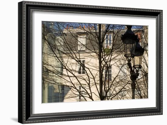 Tree-Lined Street and Streetlamp in Winter in Paris, France-Robert Such-Framed Photographic Print