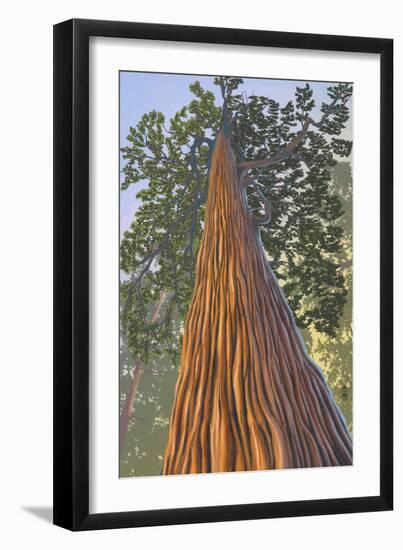 Tree Looking Up-Lantern Press-Framed Art Print