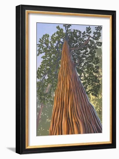 Tree Looking Up-Lantern Press-Framed Art Print