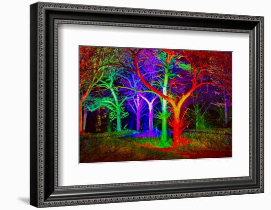 Tree Monsters-Adrian Campfield-Framed Photographic Print