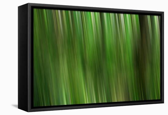 Tree motion-Savanah Plank-Framed Stretched Canvas