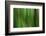 Tree motion-Savanah Plank-Framed Photo