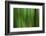 Tree motion-Savanah Plank-Framed Photo