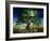 Tree of Dreams, 1994-Magdolna Ban-Framed Giclee Print