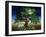 Tree of Dreams, 1994-Magdolna Ban-Framed Giclee Print