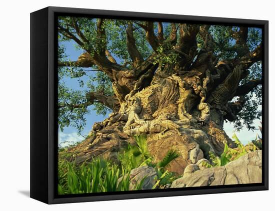 Tree of Life, Animal Kingdom, Disneyworld, Orlando, Florida, USA-Tomlinson Ruth-Framed Premier Image Canvas