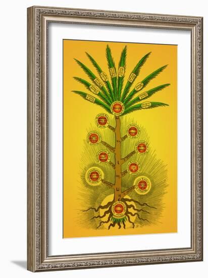 Tree of Life, Etz haChayim-Science Source-Framed Giclee Print