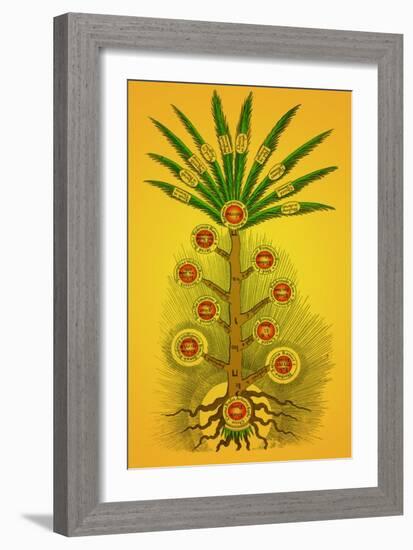 Tree of Life, Etz haChayim-Science Source-Framed Giclee Print