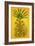 Tree of Life, Etz haChayim-Science Source-Framed Giclee Print