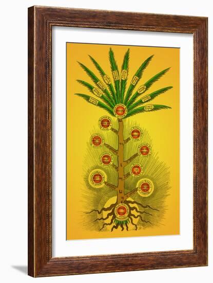 Tree of Life, Etz haChayim-Science Source-Framed Giclee Print