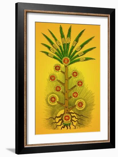 Tree of Life, Etz haChayim-Science Source-Framed Giclee Print