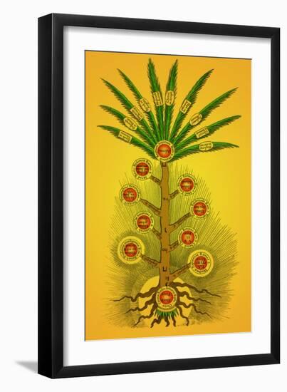 Tree of Life, Etz haChayim-Science Source-Framed Giclee Print